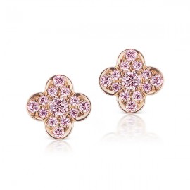 Argyle Azalea Studs