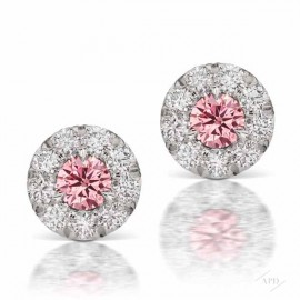 Argyle Pink Studs